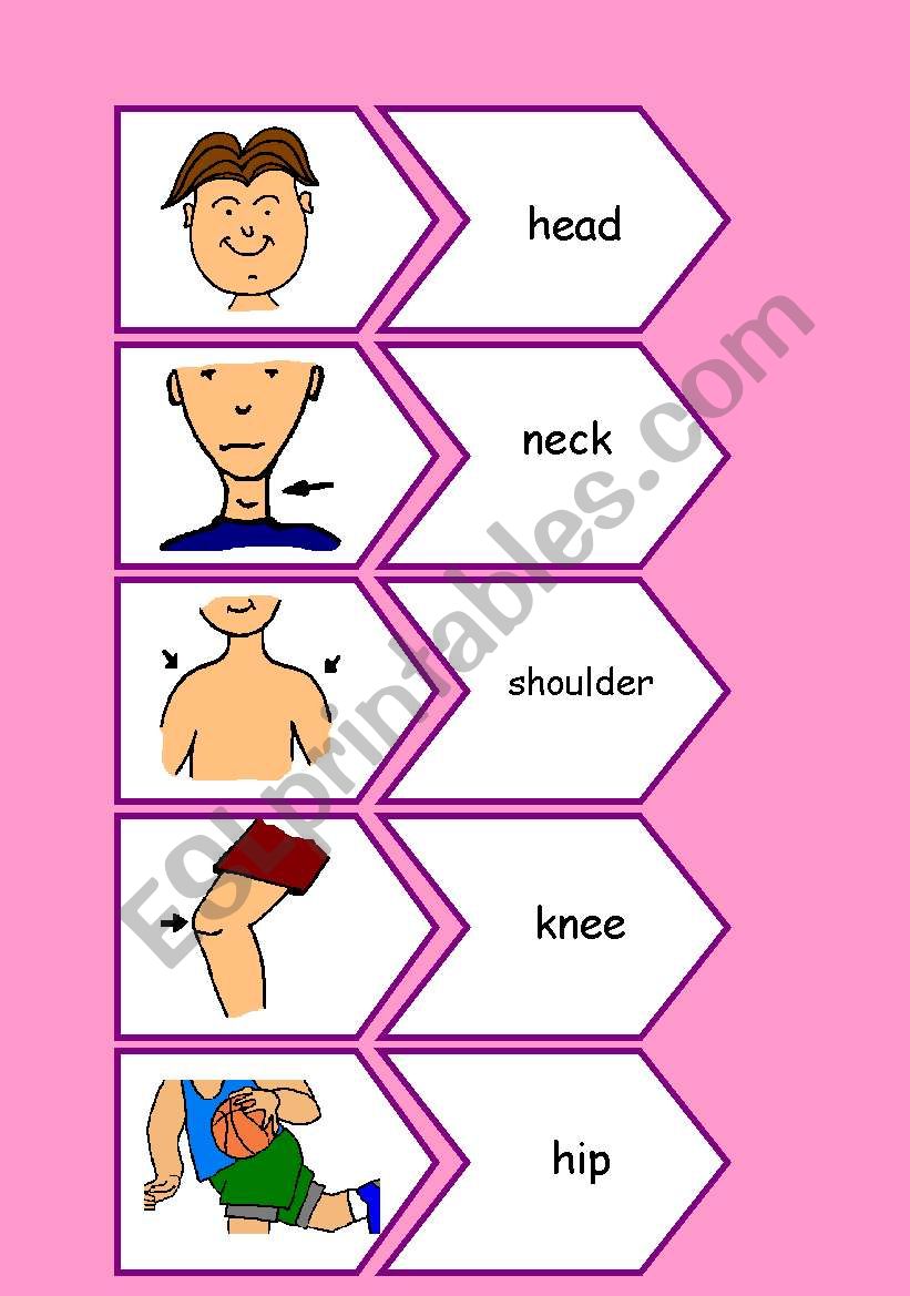 Body Parts Flashcards Esl Worksheet By Anuska8